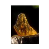Gem Elisir - AMBER (Ambra): Essenze di cristalli e pietre preziose di Ricerca
