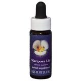 FES Essenza Californiana Mariposa Lily (Calochortus leichtlinii) 30 ml