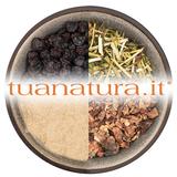 PIANTA OFFICINALE Betonica erba tagl.tisana (Stachys officinalis (L.) Trev.) 500 gr