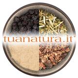 PIANTA OFFICINALE Muschio quercino tallo tagl.tisana (Evernia prunastri Ach.) 500 gr