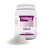 Promopharma Protisprint Nutrition 300 grammi