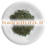 PIANTA OFFICINALE Rosmarino foglie tagl.tisana (Rosmarinus officinale L.) 500 gr