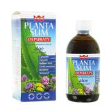 Winter Planta Slim Depuraty 500 ml