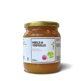 Forlive MIELE DI TRIFOGLIO 500 gr