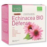 Ligne de Plantes ECHINACEA BIO DEFENSE 15 Ampolle